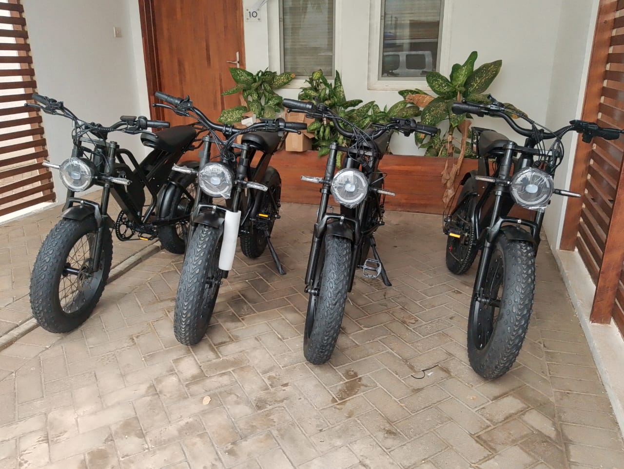 Electric Fat-Tyre Bikes Fleet